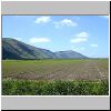 Mt Gilboa, from east.jpg